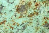 Bright Blue Apatite (Fluorapatite) Slab - Madagascar #338142-1